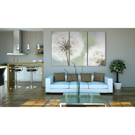 Canvas Print - Fluffy dandelions