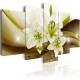 Canvas Print - Modern Liliy