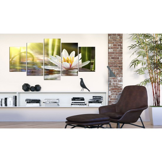 Canvas Print - Sunny Lotus