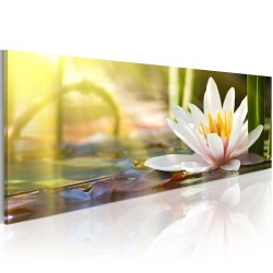 Canvas Print - Lotus' Glow