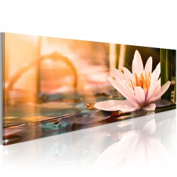 Canvas Print - Beautiful Lotus