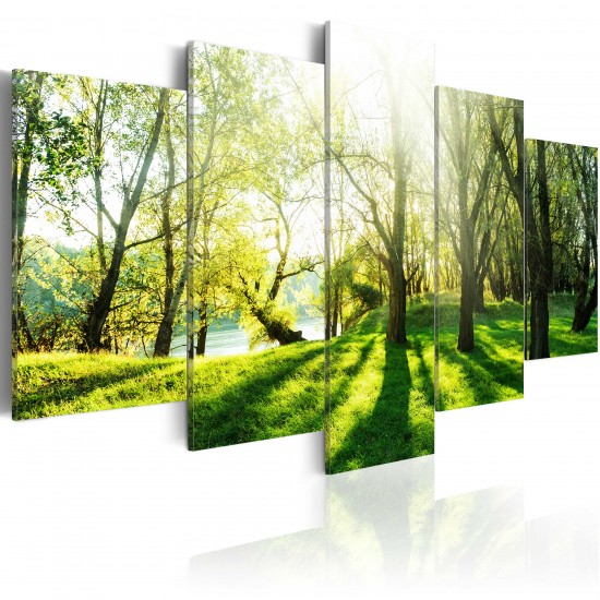 Canvas Print - Green Glade