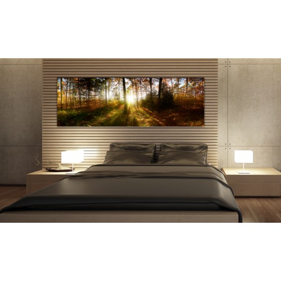 Canvas Print - Beautiful Forest 