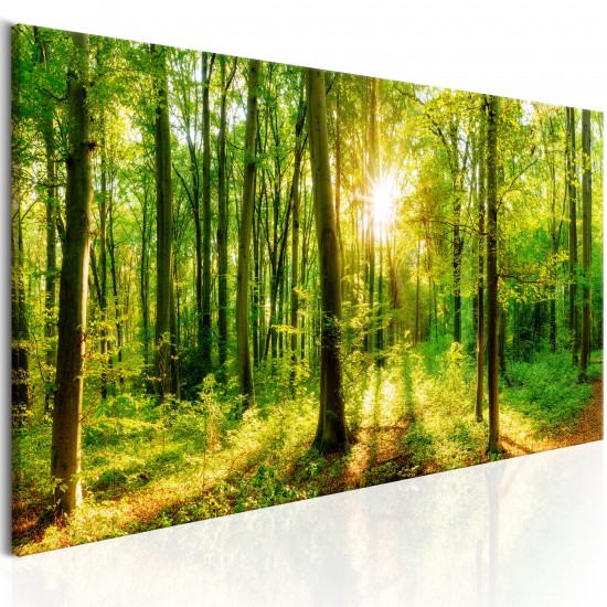 Canvas Print - Green Magic