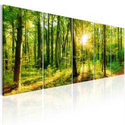 Canvas Print - Magic Forest