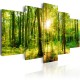 Canvas Print - Forest Tale