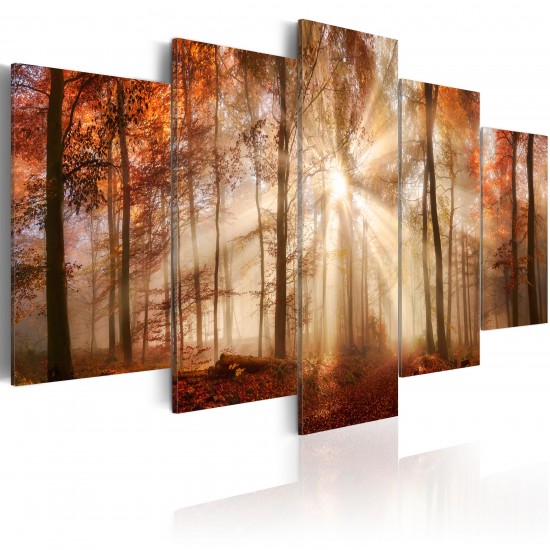 Canvas Print - Forest Fog