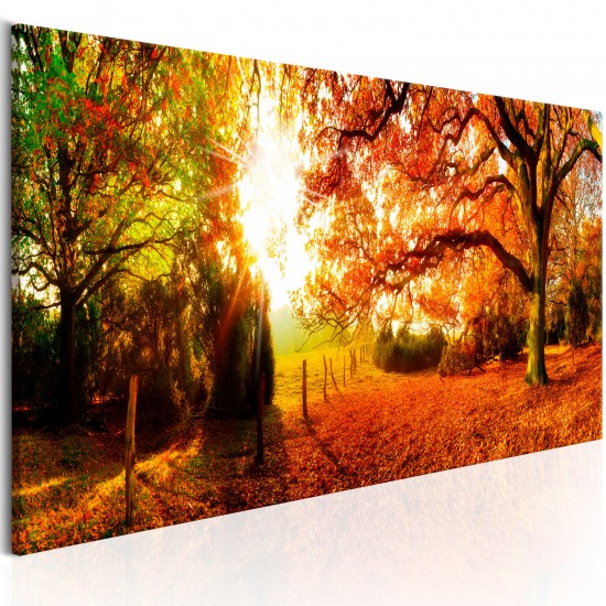 Canvas Print - Magic of Autumn