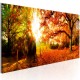 Canvas Print - Magic of Autumn