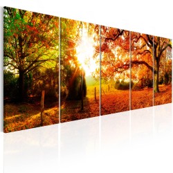 Canvas Print - Enchanting Autumn