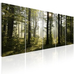 Canvas Print - Summer Fog