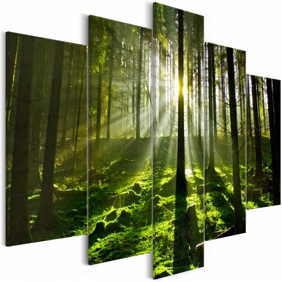 Canvas Print - Peace of Mind (5 Parts) Wide