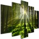 Canvas Print - Peace of Mind (5 Parts) Wide