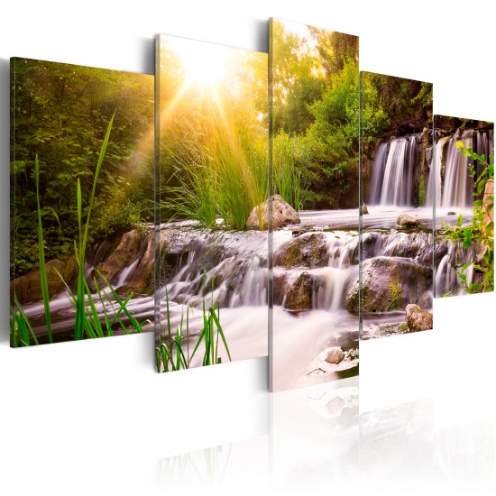 Canvas Print - Forest Waterfall