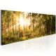 Canvas Print - Autumn Sigh