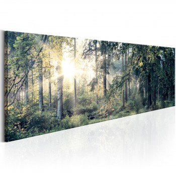 Canvas Print - Morning Magic