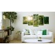 Canvas Print - Green Sanctuary