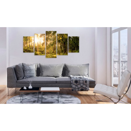 Canvas Print - Magic of Forest