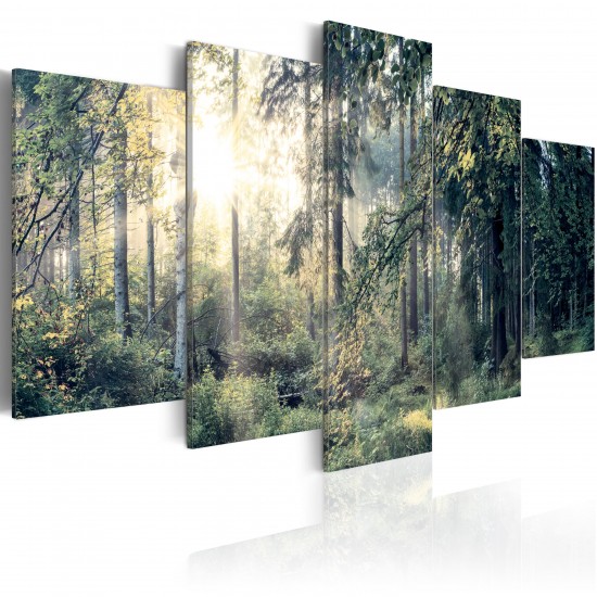 Canvas Print - Fairytale Landscape