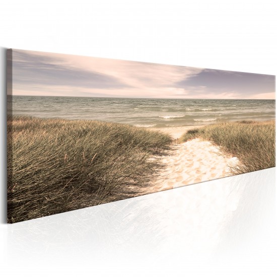 Canvas Print - Summer Dream