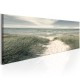 Canvas Print - Secrets of the Sea