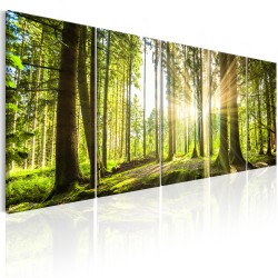 Canvas Print - Sunlight