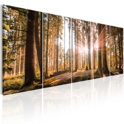 Canvas Print - Beauty of Nature